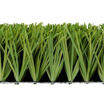 CC Grass - Stemgrass